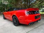 Thumbnail Photo 21 for 2014 Ford Mustang Shelby GT500 Convertible